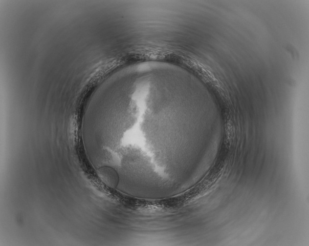 X0000112100594200908251151