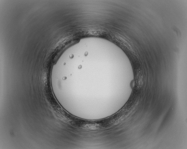 X0000112100595200908251151