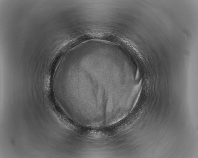 X0000112100596200908251151