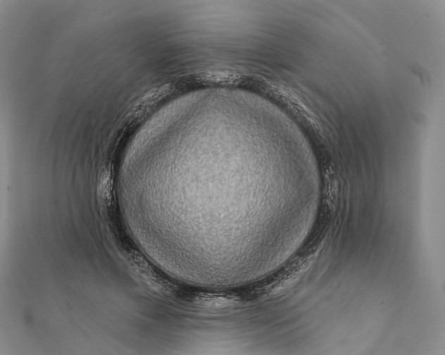 X0000112100597200908251151