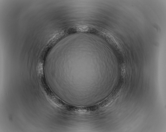 X0000112100598200908251151