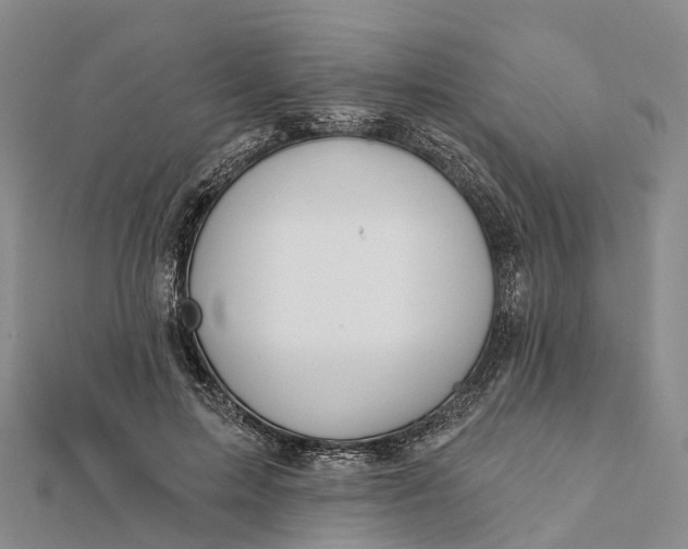 X0000112100599200908251151