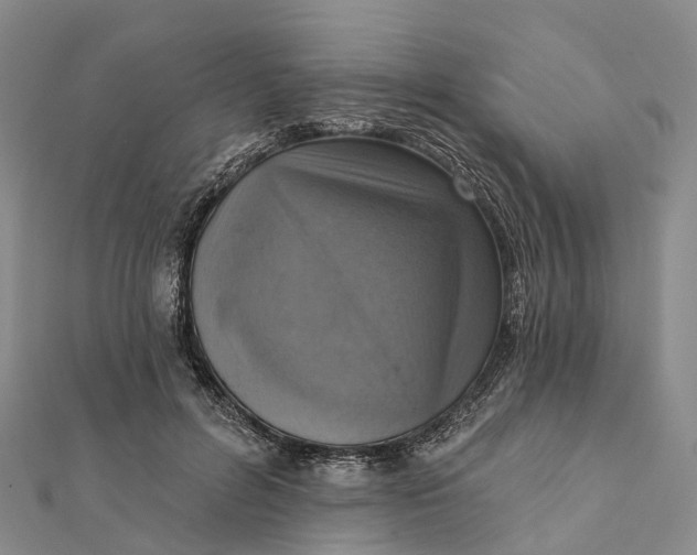 X0000112100600200908251151