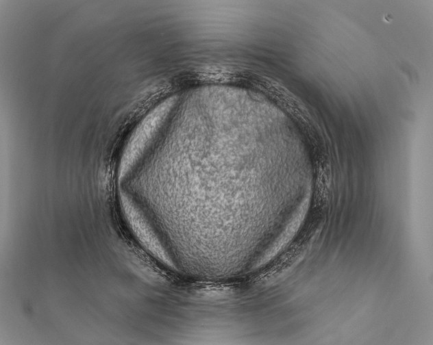 X0000112100601200908251151