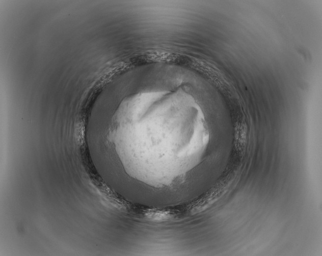 X0000112100602200908251151