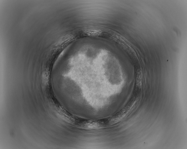 X0000112100604200908251151