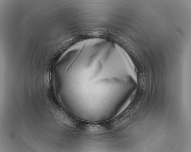 X0000112100605200908251151