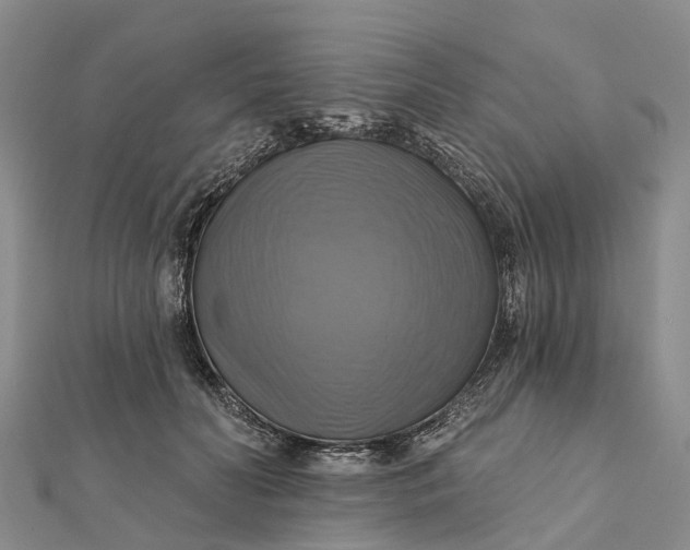 X0000112100606200908251151