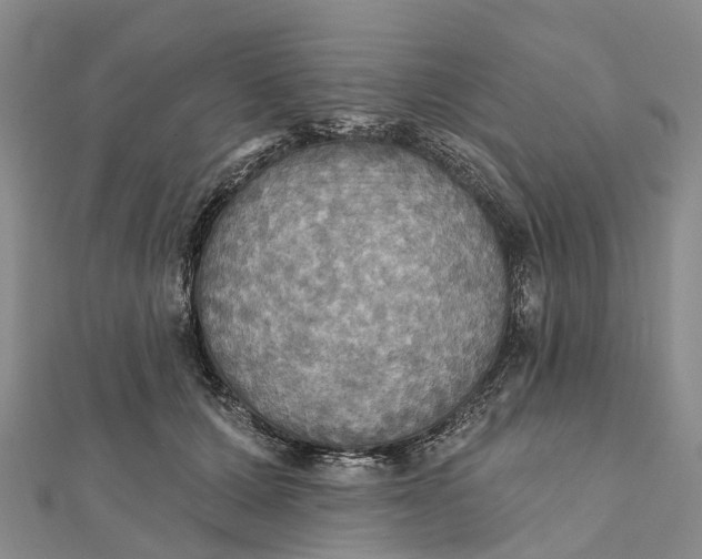 X0000112100607200908251151