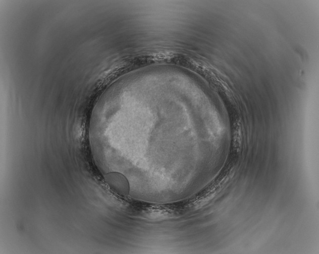 X0000112100608200908251151