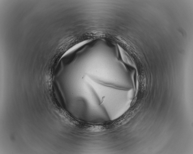 X0000112100609200908251151