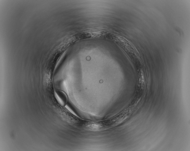 X0000112100610200908251151