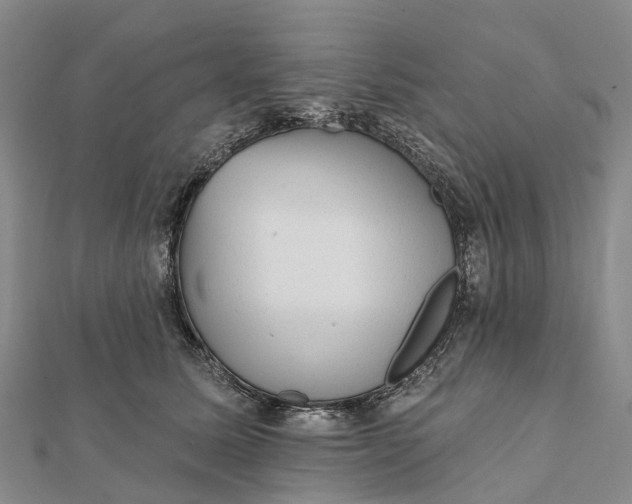 X0000112100611200908251151