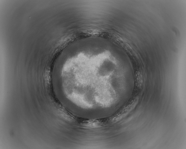 X0000112100612200908251151