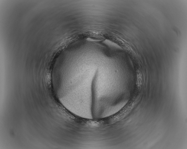 X0000112100613200908251151