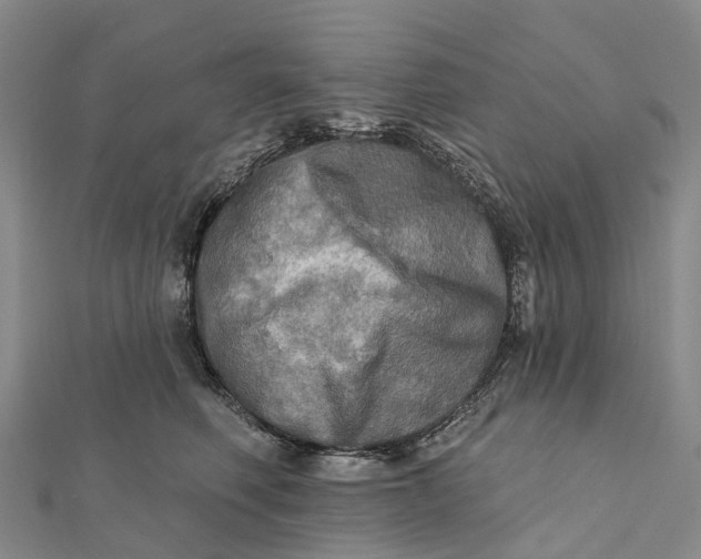 X0000112100614200908251151