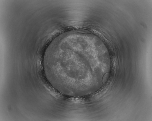 X0000112100615200908251151