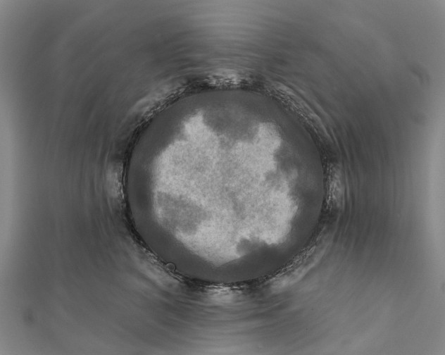 X0000112100616200908251151