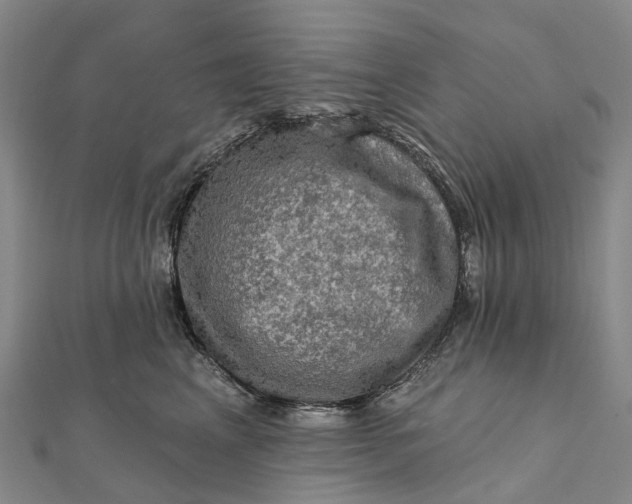 X0000112100617200908251151