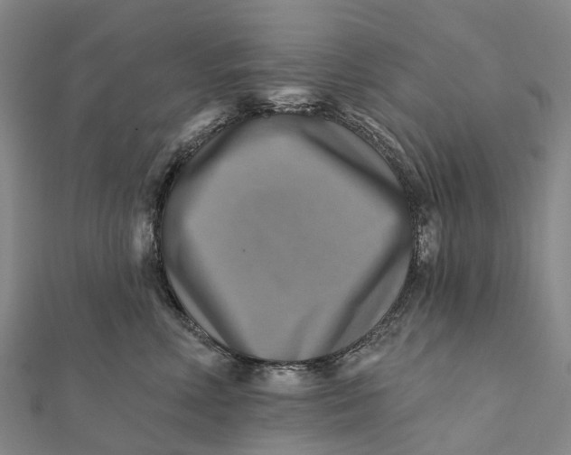 X0000112100618200908251151