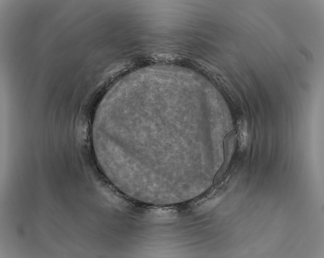 X0000112100619200908251151