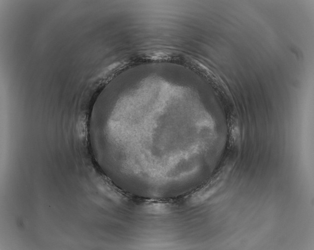 X0000112100620200908251151