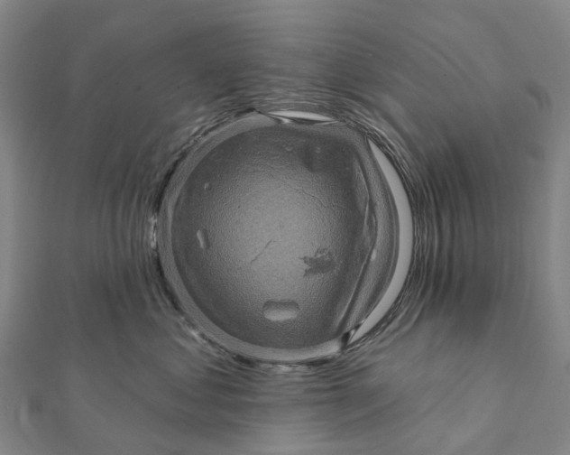 X0000112100621200908251151