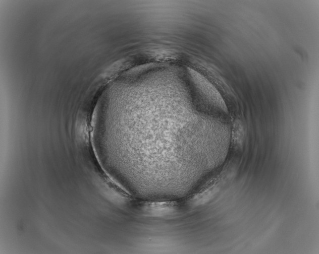 X0000112100622200908251151