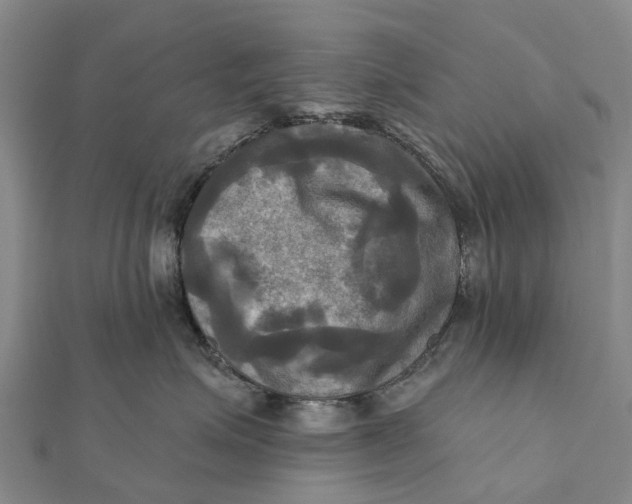 X0000112100623200908251151