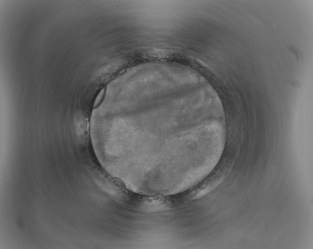 X0000112100624200908251151