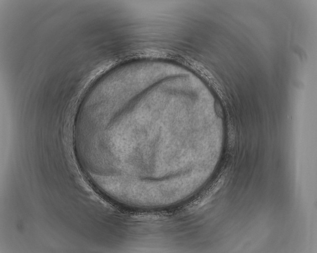 X0000112100625200908251150