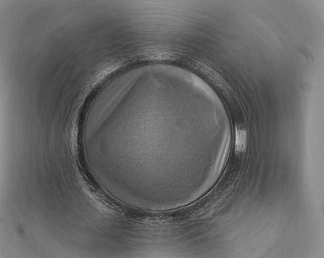 X0000112100627200908251150