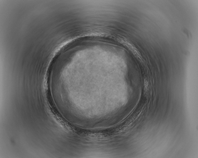 X0000112100628200908251150