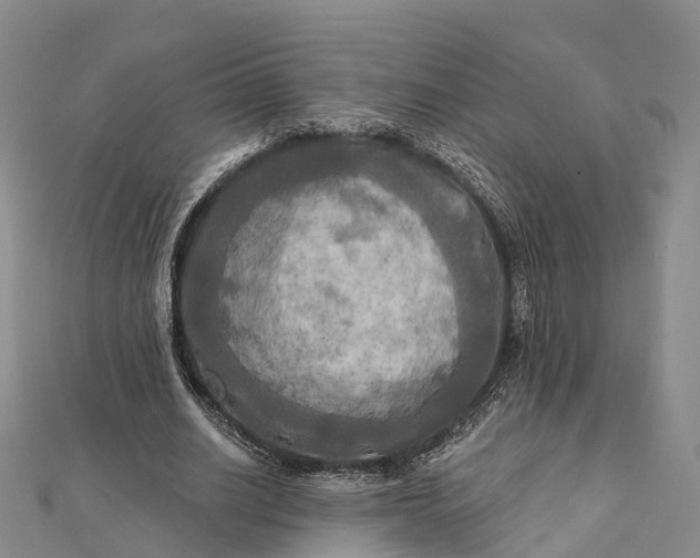 X0000112100630200908251150