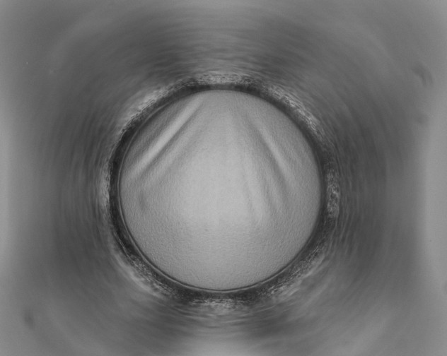 X0000112100631200908251150