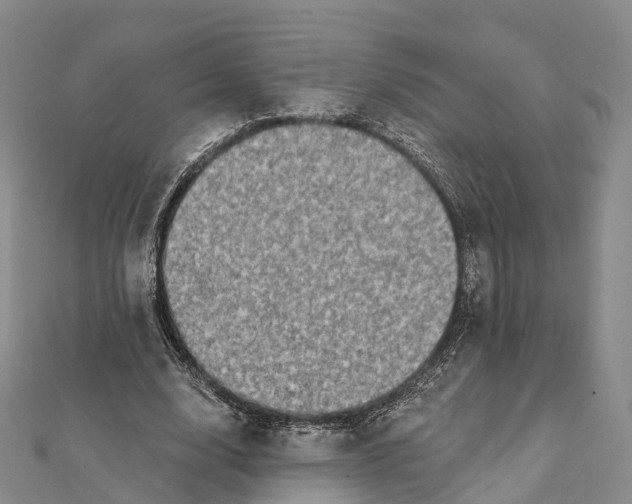 X0000112100632200908251150