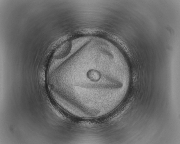 X0000112100633200908251150