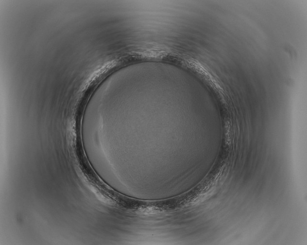 X0000112100634200908251150