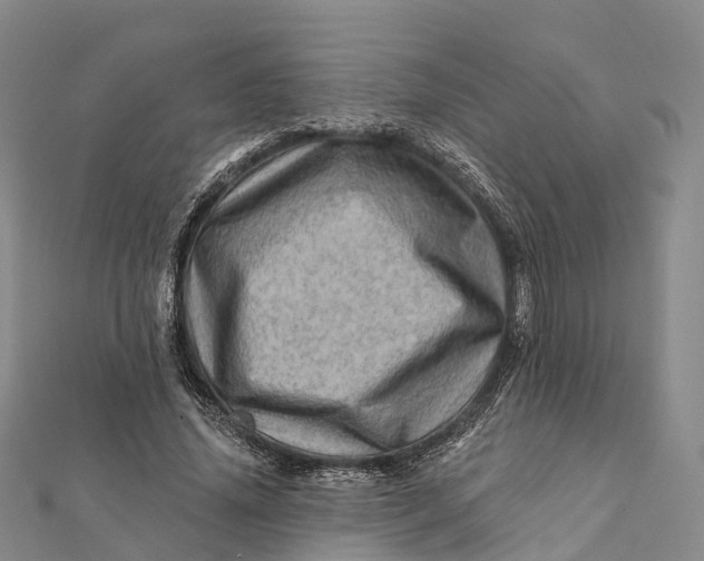 X0000112100636200908251150