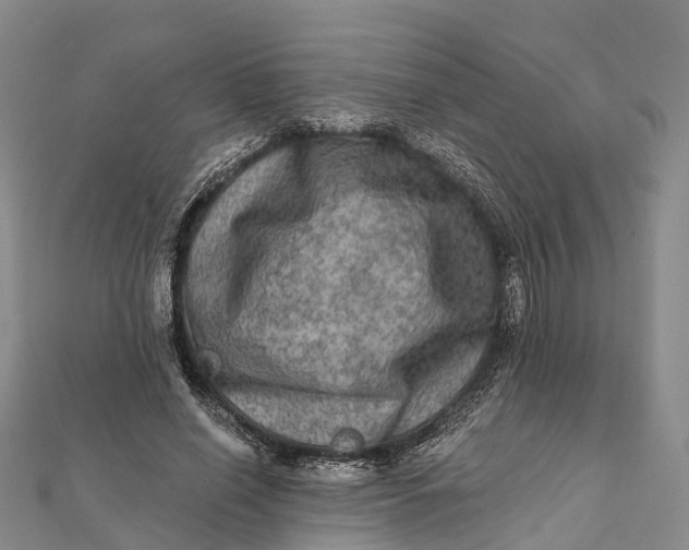 X0000112100638200908251150