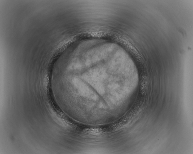 X0000112100639200908251150