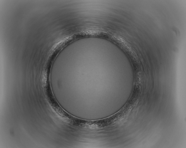 X0000112100640200908251150