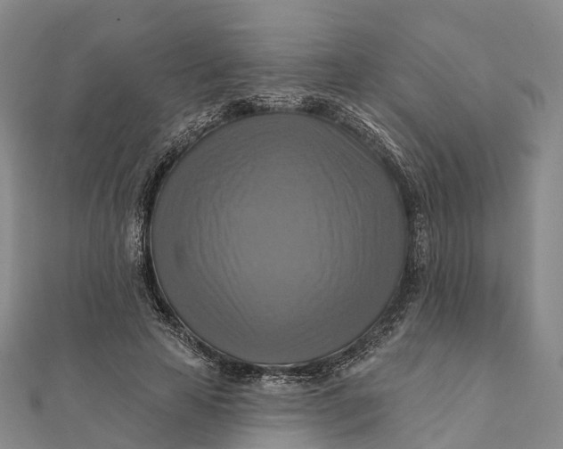 X0000112100641200908251150