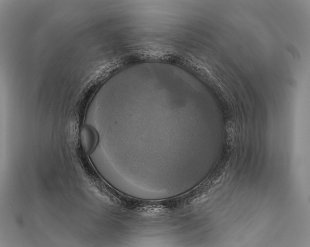 X0000112100642200908251150