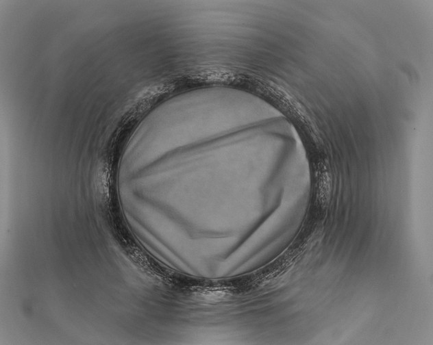 X0000112100643200908251150