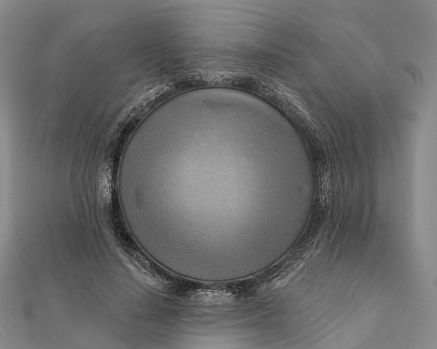 X0000112100644200908251150