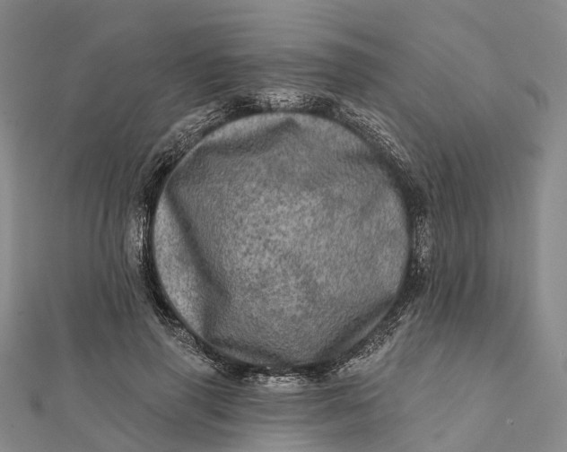 X0000112100645200908251150