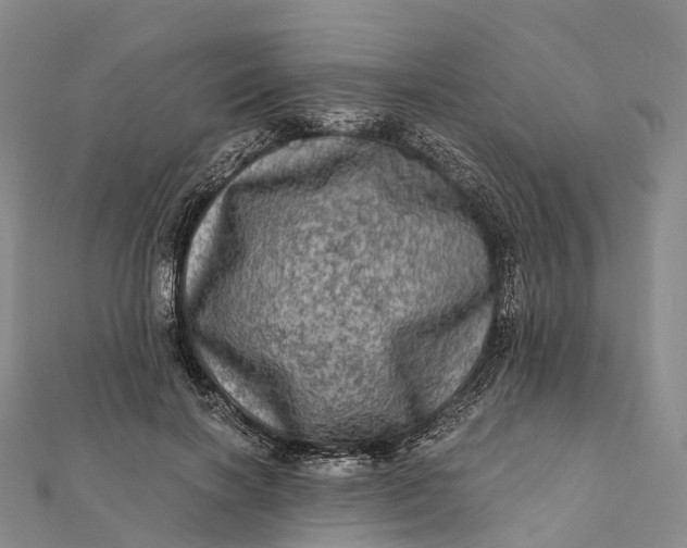 X0000112100646200908251150