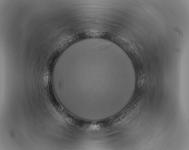 X0000112100647200908251150