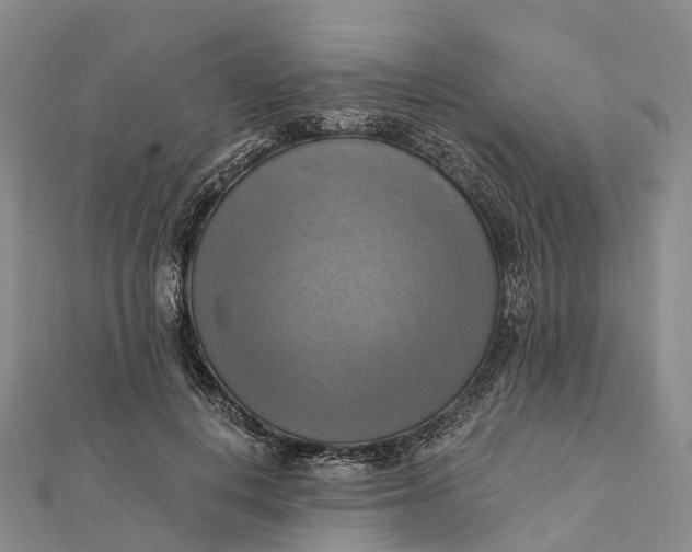 X0000112100648200908251150